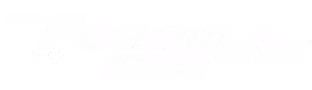FORMULA DRIVE logo