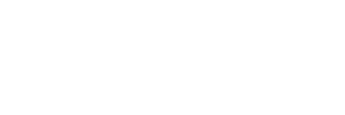 POLIGON 4X4 logo